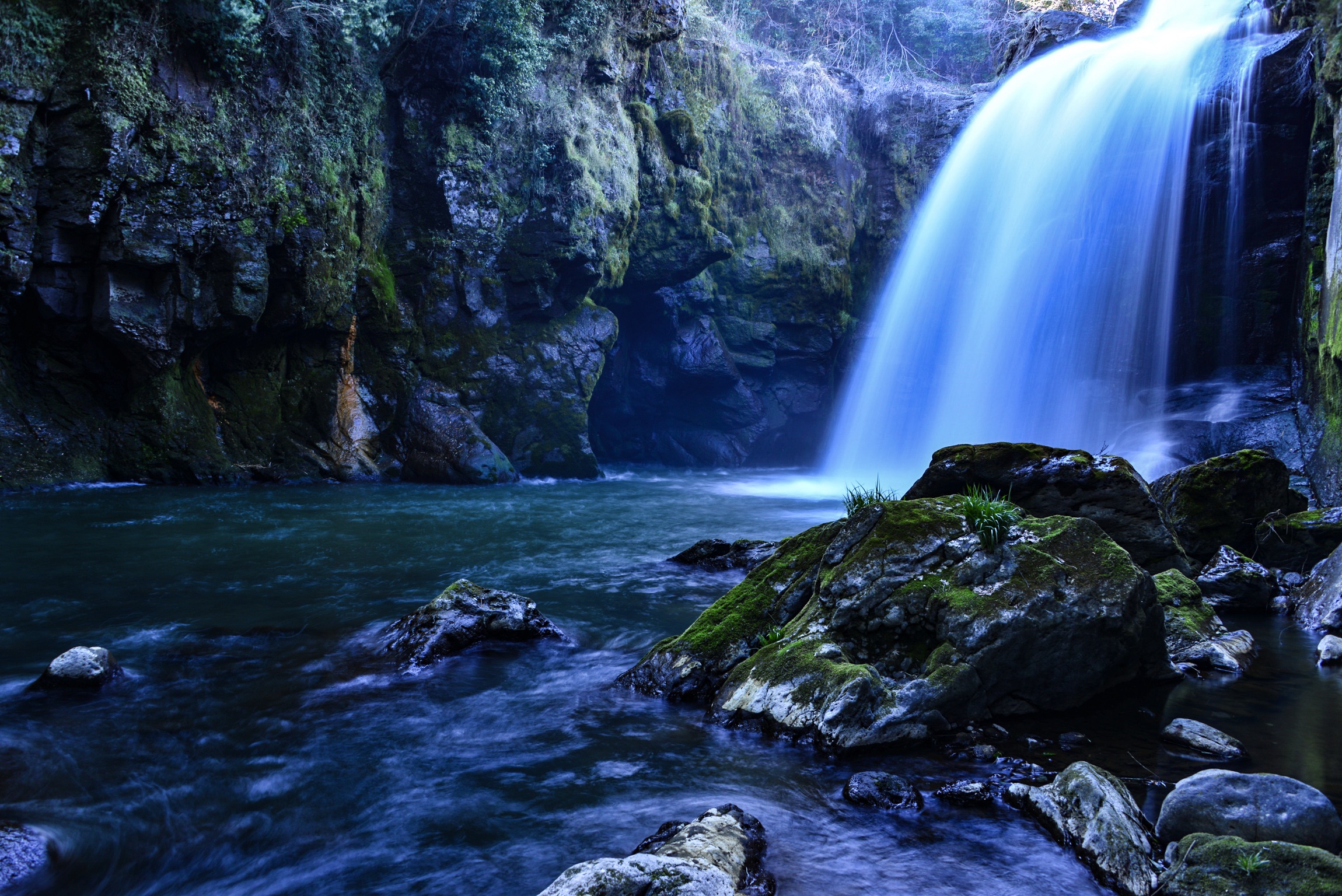 環境（自然・景観）