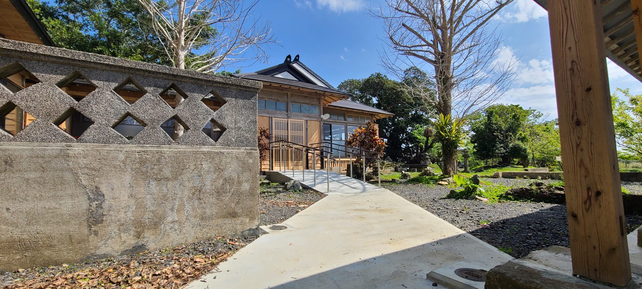 樹齢300年のガジュマル