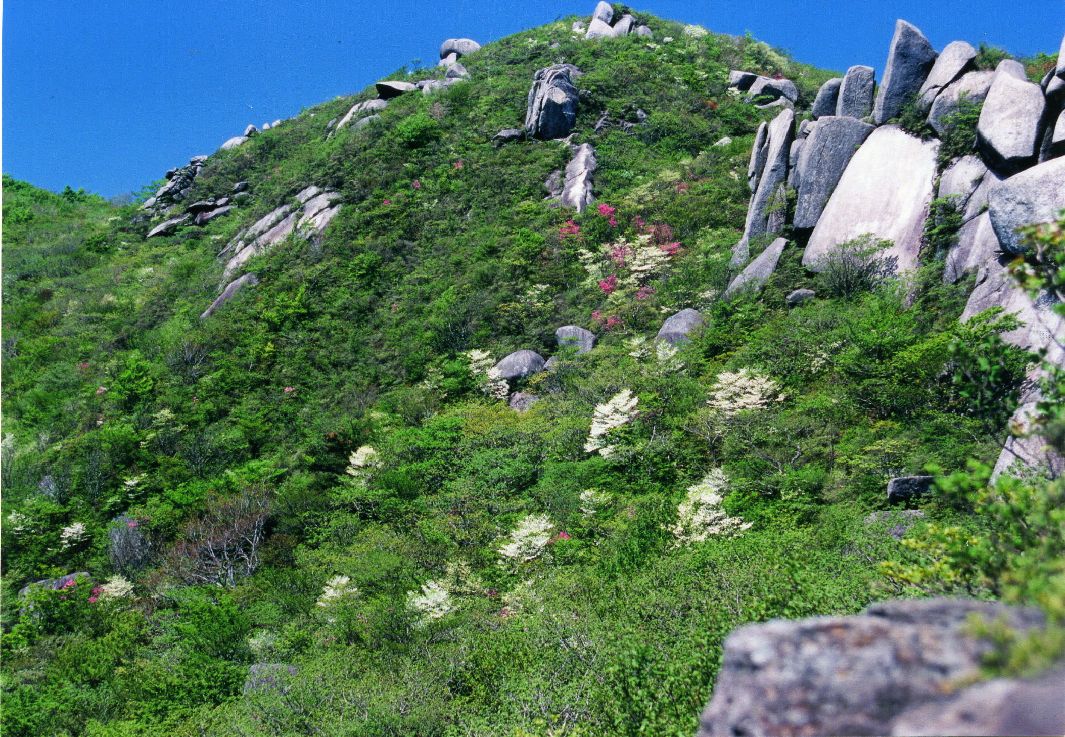 大滝根山と仙台平
