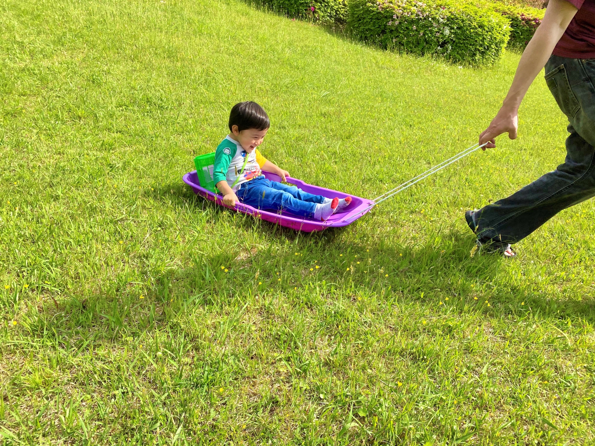 シーパスパーク