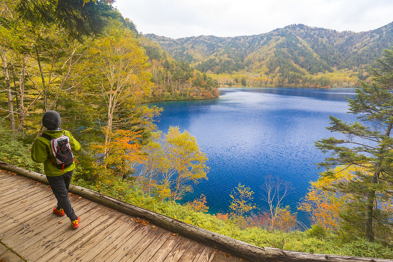 環境（自然・景観）