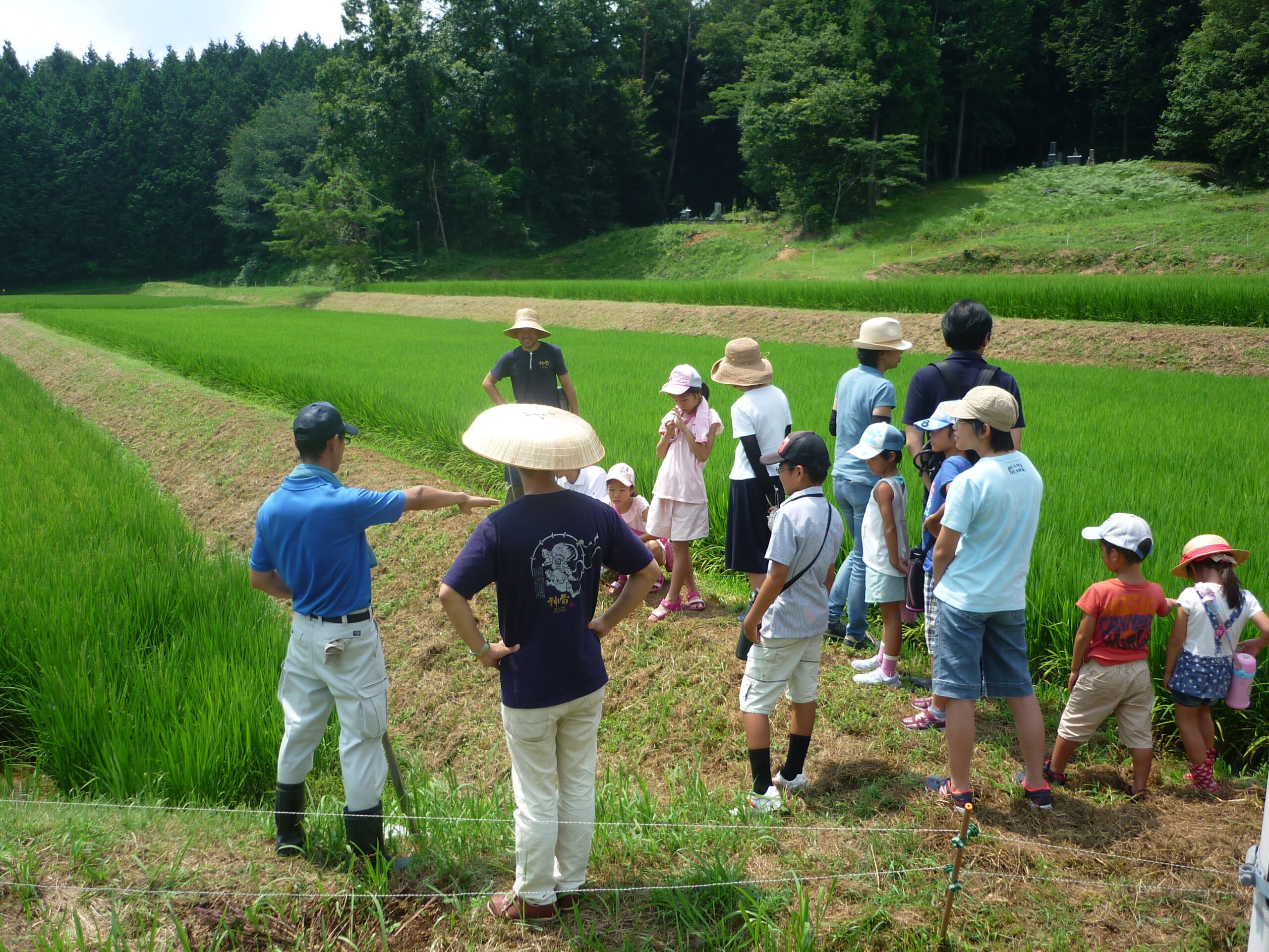 運動・生活活動