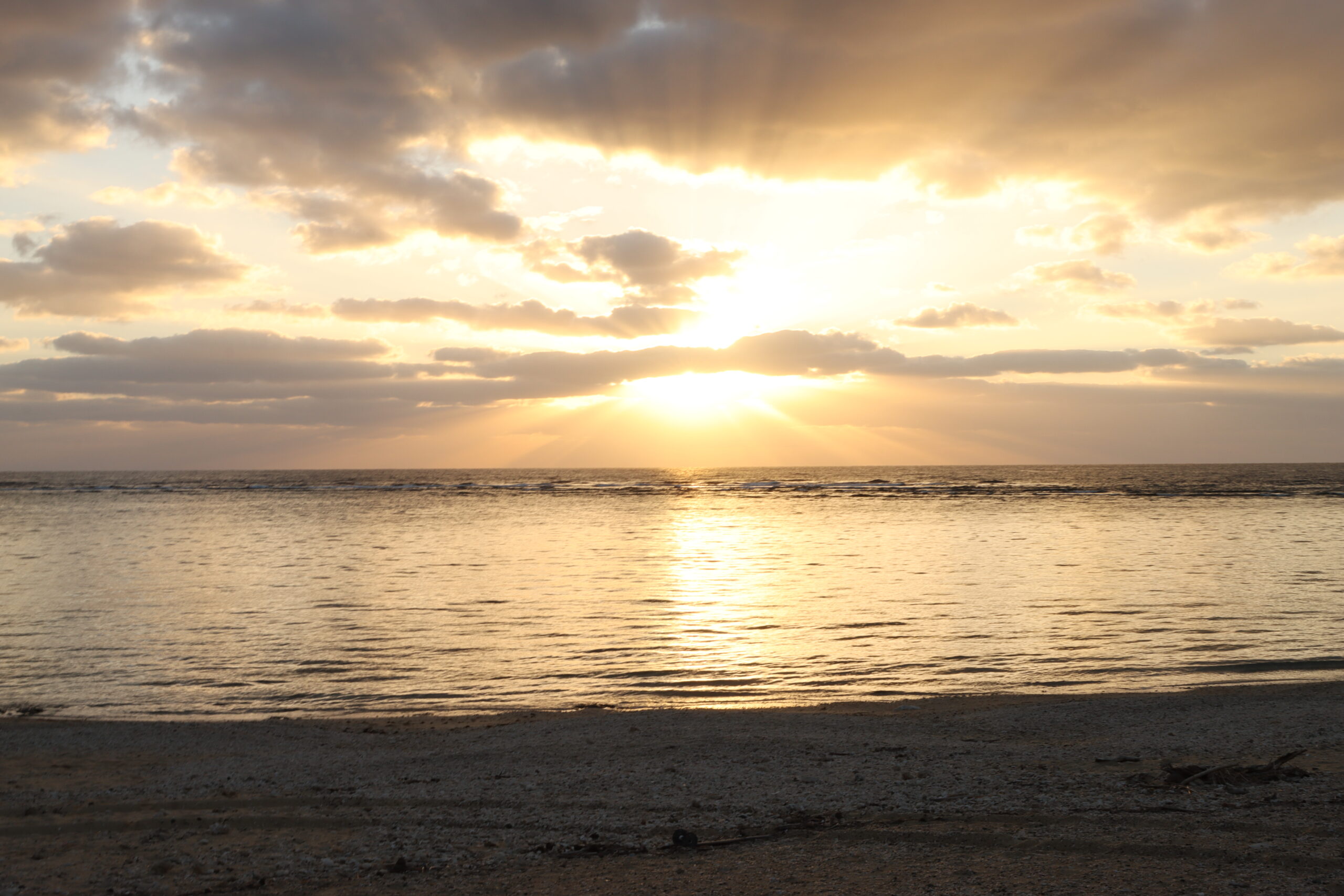 鹿児島県 伊仙町