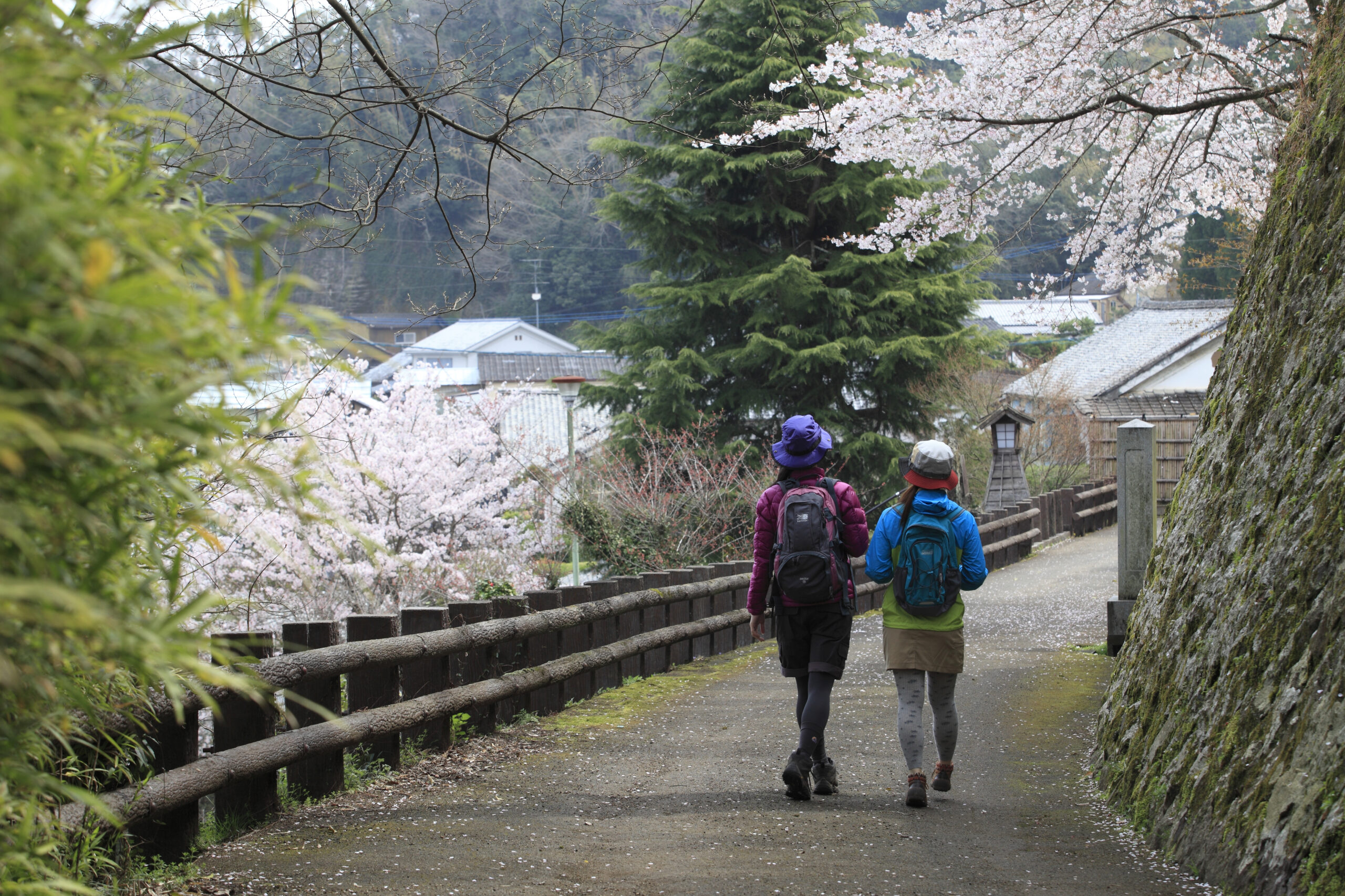 九州オルレ奥豊後コース