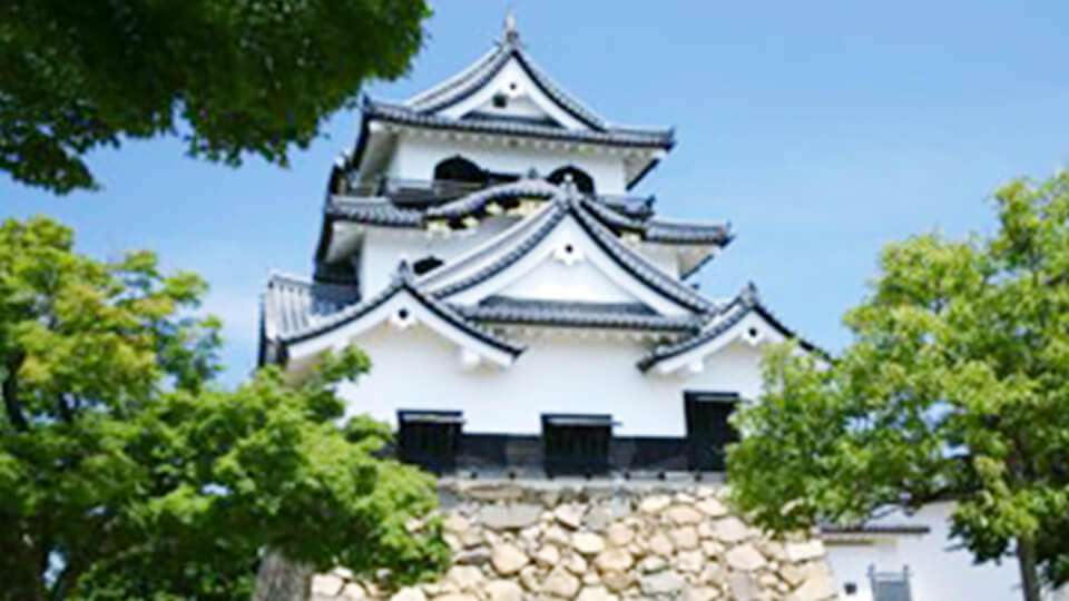 Historical heritage tour