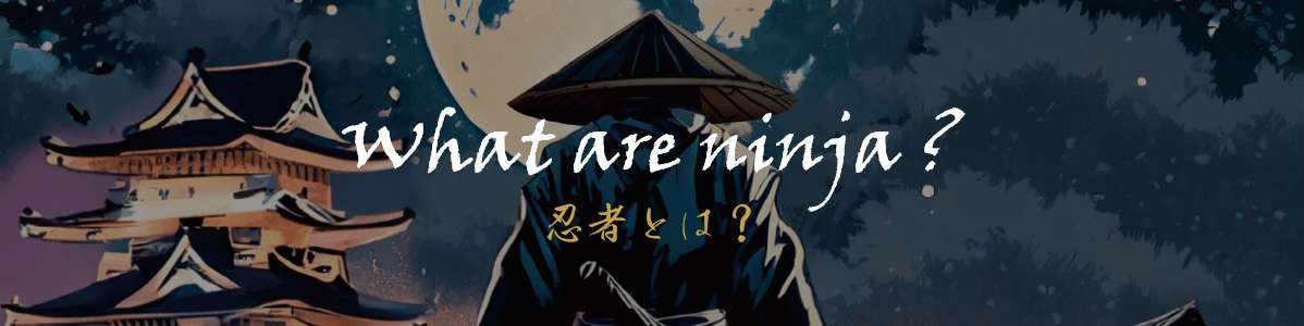 For Ninja category