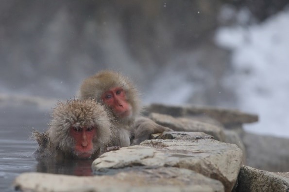 長野県 山ノ内町