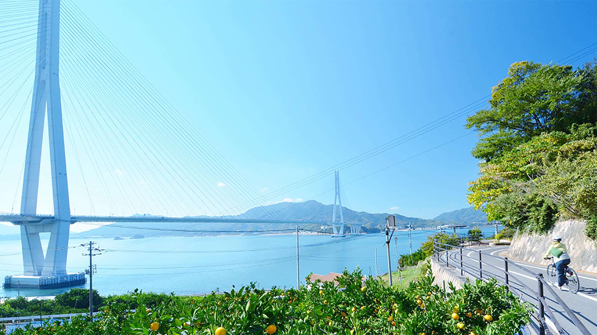 Shimanami Kaido Cycling Road
