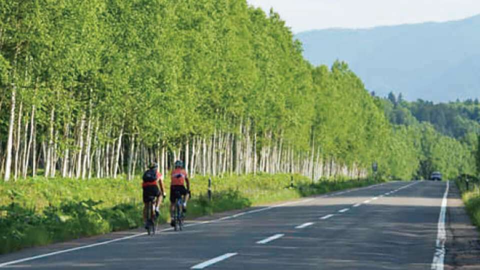 全長403kmの広大なスケール