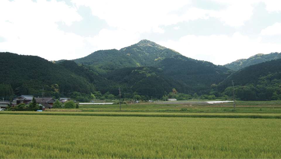 唐泉山